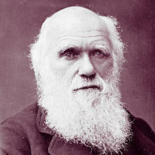 Headshot of Charles Darwin