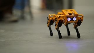 Yellow Quadruped robot Dog