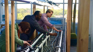 Daniel Piatek, Ph.D. candidate Sauvelson Auguste, and Professor Mary Berger working on their plants. 