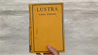 Lustra by Ezra Pond