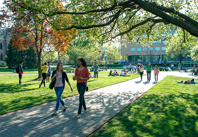 Procedures and Guidelines