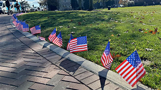 USA Flags dotted infront of the University Center