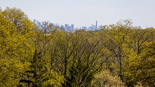 Xavier Hall trees landscape view 215